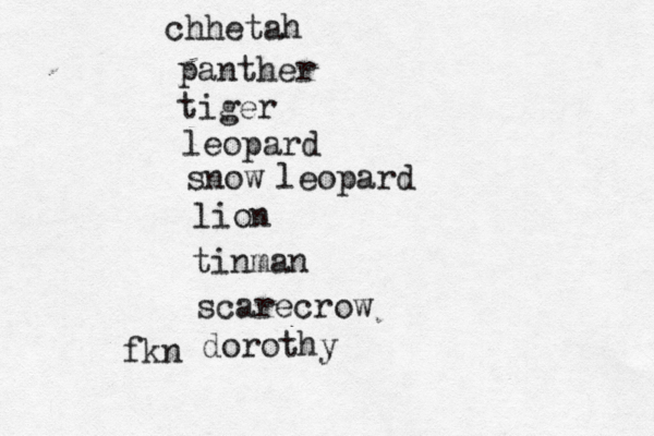 chhetah panther tiger leopard snow leopard lion tinman scarecrow dorothy fk