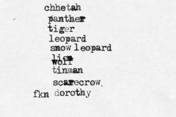 chhetah panther tiger leopard snow leopard lion tinman scarecrow dorothy f wol