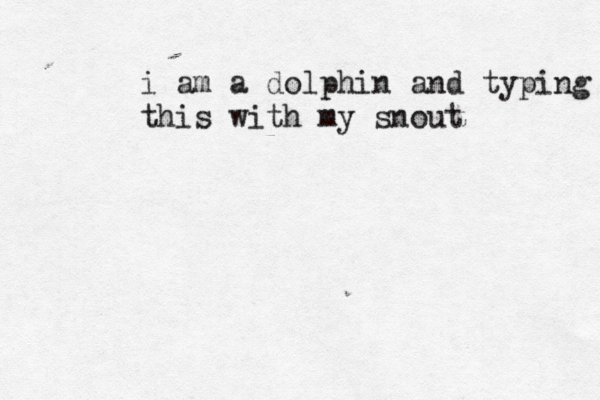 i am a dolphin and typing this with my snout