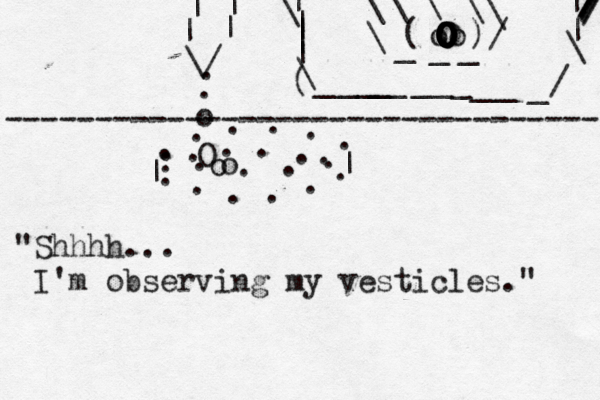 | | ...... .................\/||||..o O o o --------------------------------- |||||\___________/ \||\\\\\\___/ oo O OOOOOOOO () \ ( /////// "Shhhh... I'm observing my vesticles."