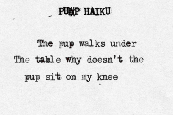 PULP HAIKU PULP HAIKU H X # The pup walks under The table why doesn't the pup sit on my kne
