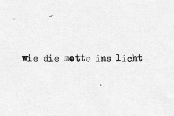 wie die motte ins licht