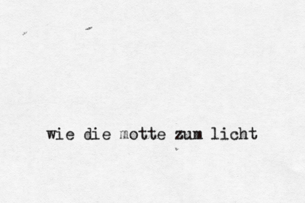 wie die motte zum licht