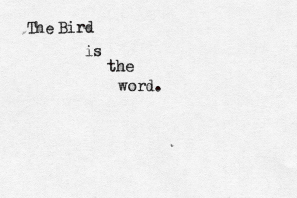 wor Bird is th The