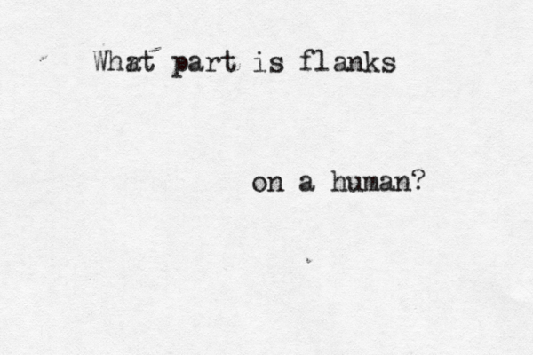 Whr at part is flanks on a human?