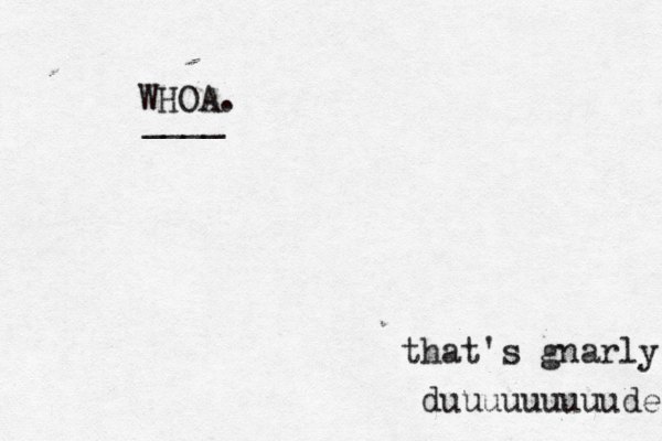 WHOA. that's gnarly duuuuuuuuude ____