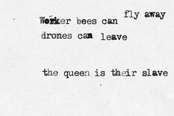 Worker bees can fly away drones can leave the queen is their slave