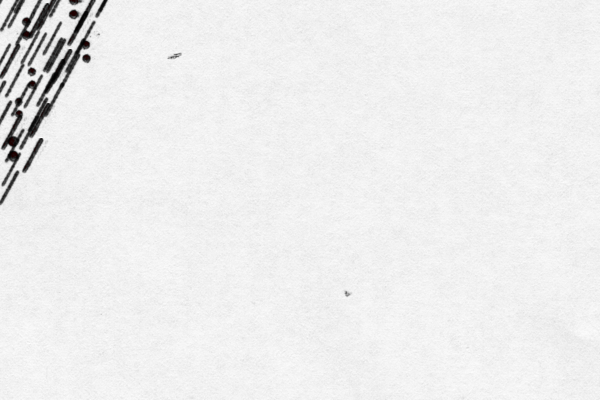 / / / / / / / / / / / : : : / / / / / / / / / / / / : / / / : / / / / / / / / / / / / // :