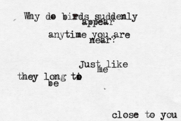 Why do birds suddenly appear anytime you are near? Just like me they long ti o o be close to you