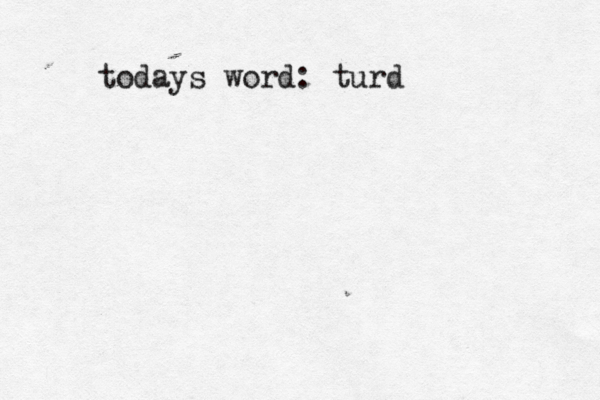 todays word: tur