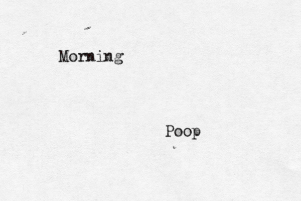 Morning Poo