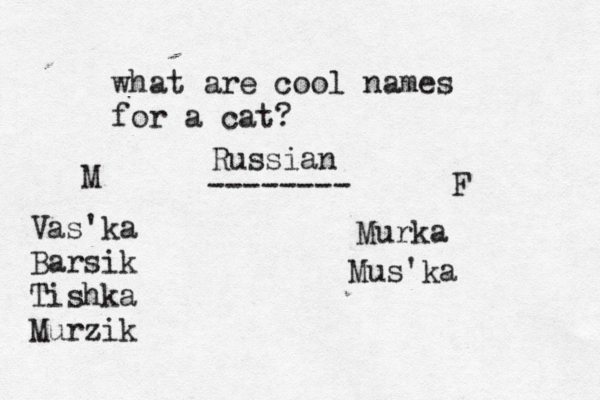 what are cool names for a ca Russian M F Vas'ka Barsik Tishka Murzik -------- Murka Mus'ka