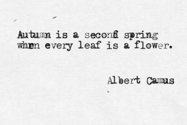 Autumn is a seconf d spring whr en every leaf is a flower. Albert Camus