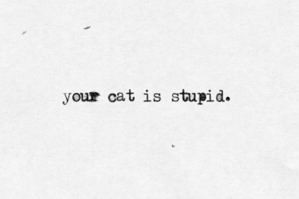 your cat is stupid