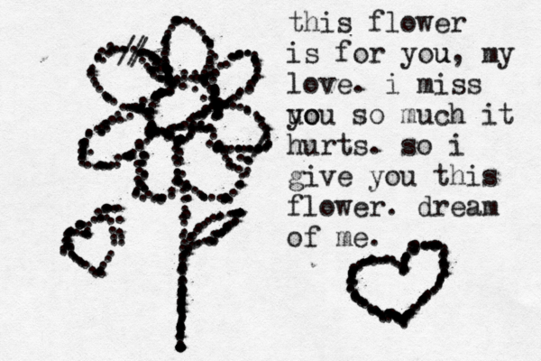 .............................................................//...................................................................///........................................................................................................................................................................................................................................................................................................................................................................................... this flower is for you u , my love. i miss uo you so much it hurts. so i give you this flower. dream of me. .............................................................................................................................................................................