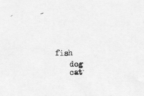 dog cat fish