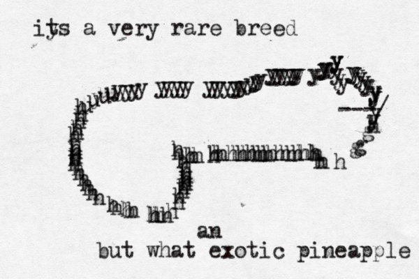 u uuyuuhhhhhhhhhhhhhhhhhhhhhhhhhhhhhhhhhhhhhhhhhhhhhhhhhhhhhhhhhhhhhhhhhhhhhhggg hyyyyyyyyyyyyyyyyyyyyyyyyyyyyyyyyyyyyyyyyyyyyyyyyyyyyyy --- but what exotic pineapple a iy ts a very rare bree