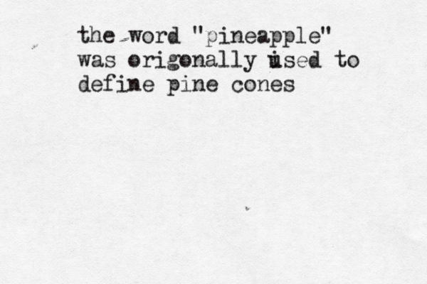 the word " pineapple" was origonally ised to u define pine cones