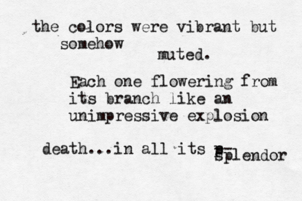 the colors were vibrant but somehow muted. Each one flowering from its branch like an unimpressive explosion death...in all its p s -- splendor