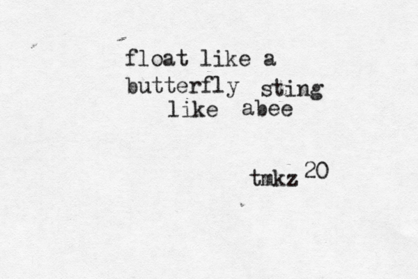 float like a butterfly sting like abee tmkz 20