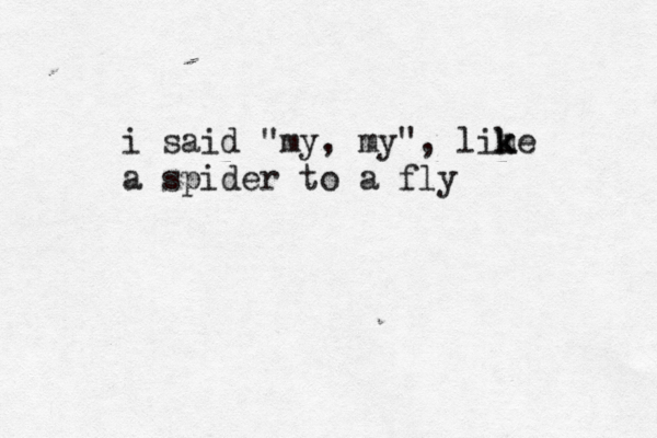 i said "my, my", lime k k a spider to a fly 