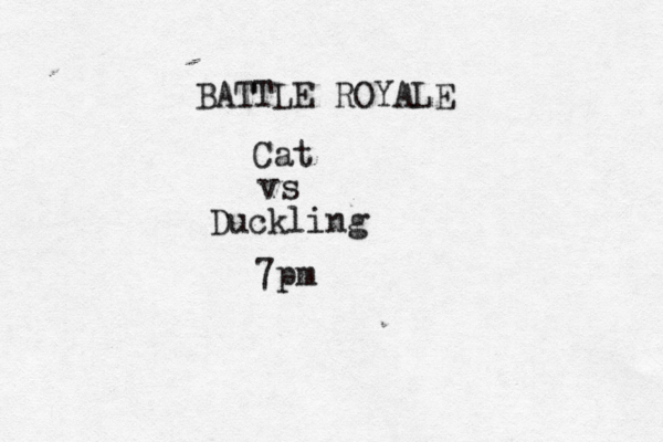 BATTLE ROYALE Cat vs Duckling 7p m