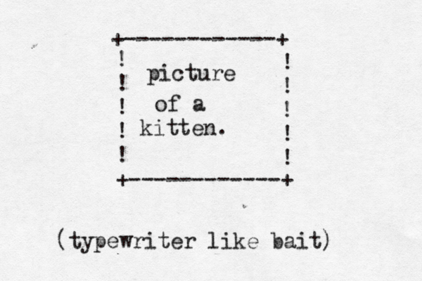 +------------+ ! ! ! ! ! +------------+ ! ! ! ! ! picture of a kitten. (typewriter like bait)
