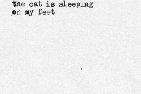 the cat is sleeping on my feet