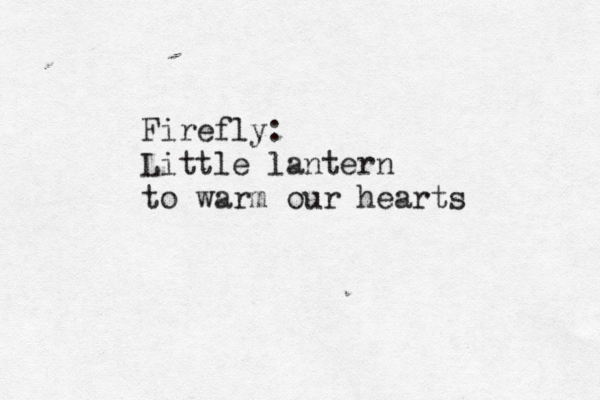 Firefly: Little lantern to warm our hearts