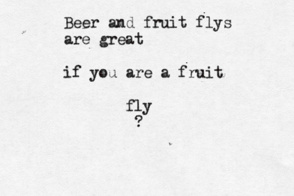 Beer and fruit flys are great if you are a fruit fly ?