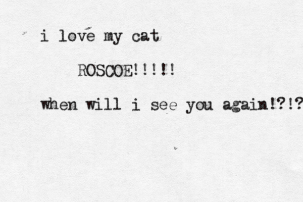 i love my cat ROSCOE!!!!! when will i see you again!?!? 