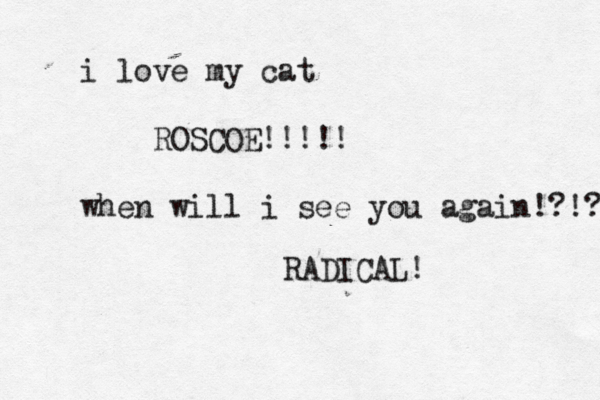 i love my cat ROSCOE!!!!! when will i see you again!?!? RADICAL!