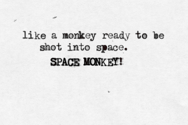 SPACE MONKEY SPACE MONKEY! like a monkey ready to be shot into space. 