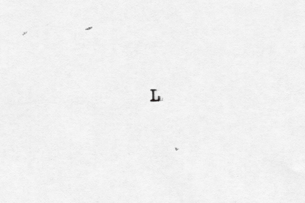 L 