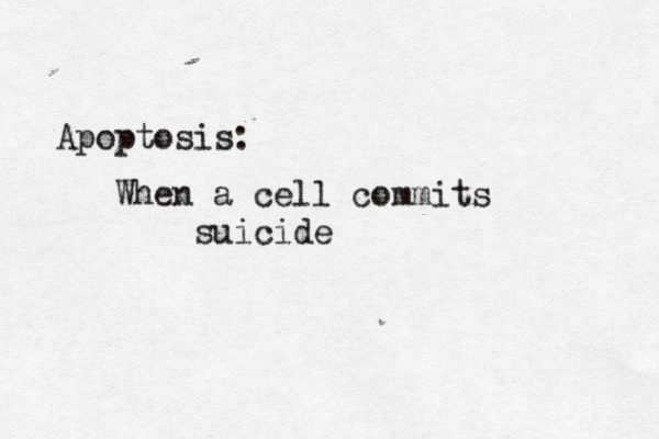 Apoptosis: When a cell commits suicide 