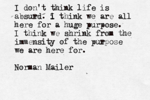 I don't think life is absurd. i I think we are all here for a huge purpose. I think we shrink from the immensity of the purpose we are here for. Norman Mailer 
