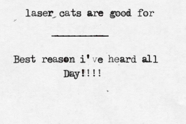 laser cats are good for __________ Best reason i've heard all Day!!!!