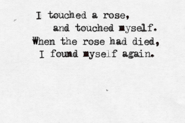 I touched a rose, and touched myself. when the rose had died, I found myself again. W 