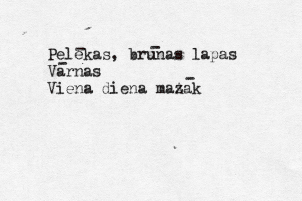 Pelekas, brunas lapas Varnas Viena diena maA zak - - - - 
