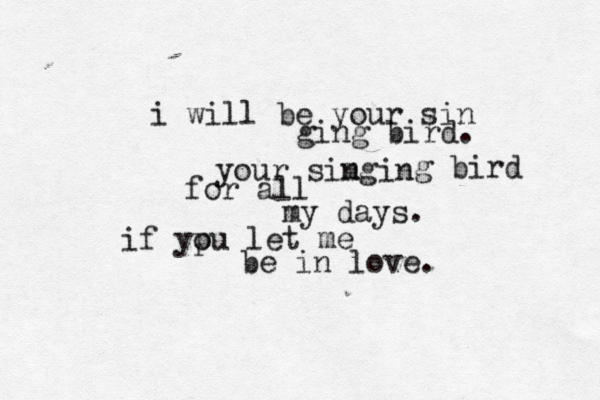 i will be your sin ging bird. your simgin n g bird for all my days. if yp ou let me be in love. 