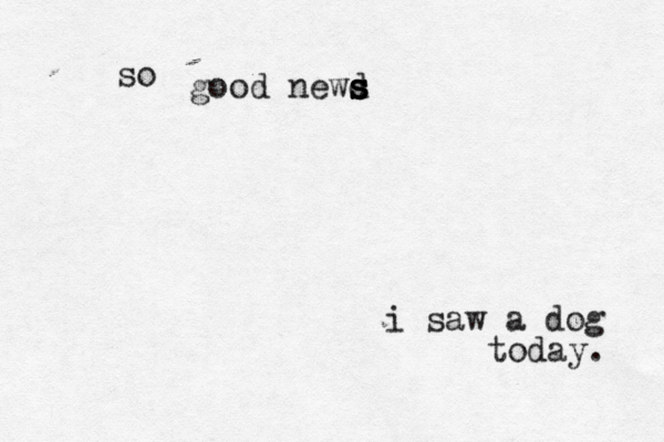 good newd s s s s i saw a dog today. so 