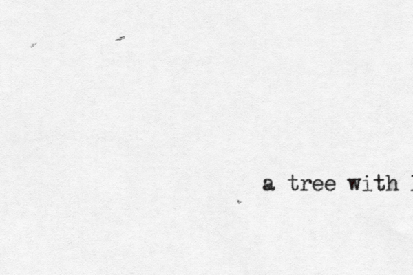 a tree with leaves 