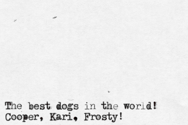 The best dogs in the world ! Cooper, Kari. , Frosty! 
