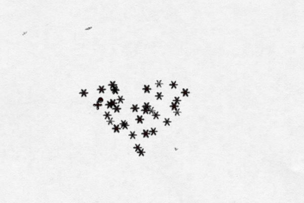. * * * * * * * * * * * * * * * * * * * * * * * * * * * * * + * * * * * 