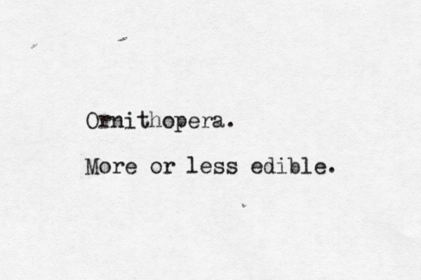 Ornithopera. More or less edible.