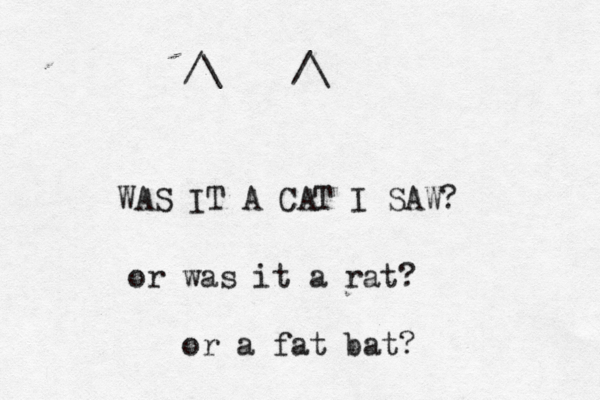 WAS IT A CAT I SAW? or was it a rat? or a fat bat? /\ /\ 