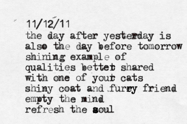11/12/11 the day after yesterday is also the day before tomorrow shining example of qualities bettet r shared with one of yout r cats shiny coat and furey r ry friend empty the mind refresh the aoul s s s