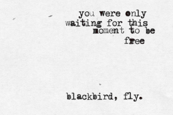 you were only waiting for this moment to be free blackbird, fly. 