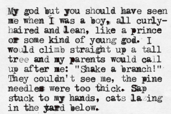 My god but you should have seen me when I was a boy, all curly- haired and lean, like a prince or some kind of young god. I would climb straight up a tall tree and my parents would call up after me: "Shake a branch!" They couldn't see me, the pine needles were too thick. Sap stuck to my hands, cats lazing in the ta yard below.