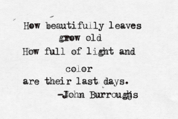How beautifully leaves grow old How full of light and color are their last days. -John Burrougj hs